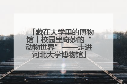 藏在大学里的博物馆丨校园里奇妙的“动物世界”——走进河北大学博物馆