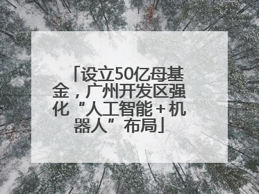 设立50亿母基金，广州开发区强化“人工智能＋机器人”布局