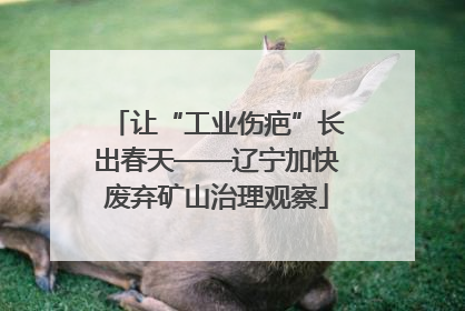 让“工业伤疤”长出春天——辽宁加快废弃矿山治理观察