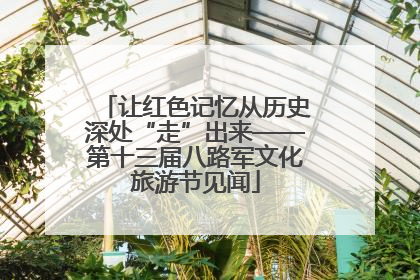 让红色记忆从历史深处“走”出来——第十三届八路军文化旅游节见闻