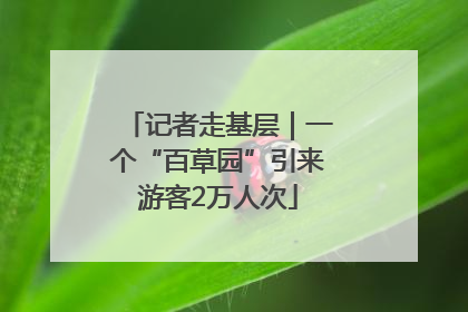 记者走基层｜一个“百草园”引来游客2万人次