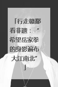 行走赣鄱看非遗：“希望岳家拳的身影遍布大江南北”