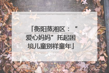 衡阳蒸湘区：“爱心妈妈”托起困境儿童别样童年