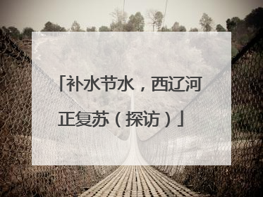 补水节水，西辽河正复苏（探访）