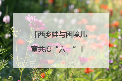 西乡娃与困境儿童共度“六一”