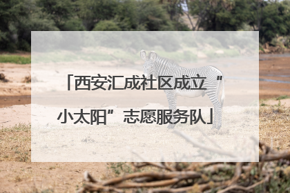 西安汇成社区成立“小太阳”志愿服务队