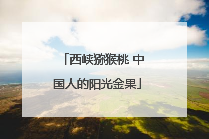 西峡猕猴桃 中国人的阳光金果