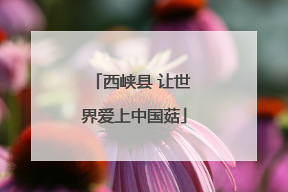 西峡县 让世界爱上中国菇