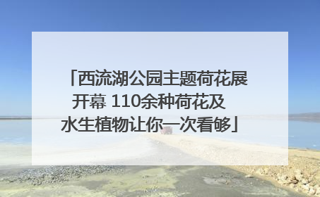 西流湖公园主题荷花展开幕 110余种荷花及水生植物让你一次看够