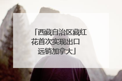 西藏自治区藏红花首次实现出口 远销加拿大