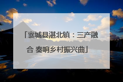 襄城县湛北镇：三产融合 奏响乡村振兴曲