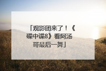 观影团来了！《碟中谍8》看阿汤哥最后一舞