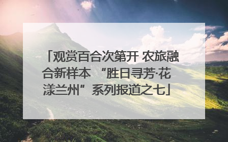 观赏百合次第开 农旅融合新样本 “胜日寻芳·花漾兰州”系列报道之七