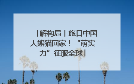 解构局丨旅日中国大熊猫回家！“萌实力”征服全球