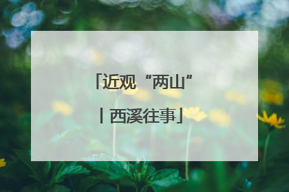 近观“两山”丨西溪往事