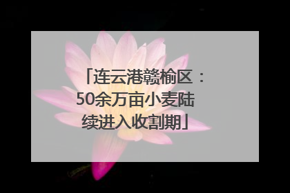 连云港赣榆区：50余万亩小麦陆续进入收割期