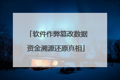 软件作弊篡改数据 资金溯源还原真相