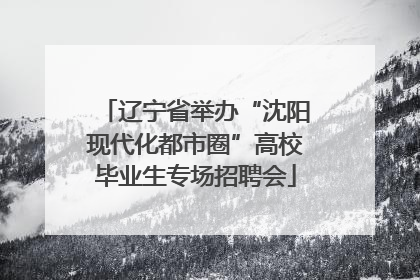 辽宁省举办“沈阳现代化都市圈”高校毕业生专场招聘会
