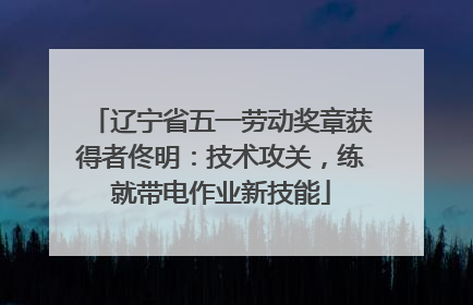 辽宁省五一劳动奖章获得者佟明：技术攻关，练就带电作业新技能