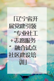 辽宁省开展党建引领“专业社工+志愿服务”融合试点社区建设培训