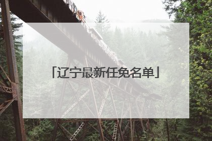 辽宁最新任免名单