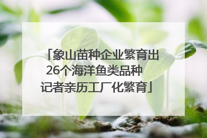 象山苗种企业繁育出26个海洋鱼类品种 记者亲历工厂化繁育