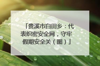 贵溪市白田乡：代表织密安全网，守牢假期安全关（图）