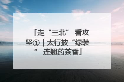 走“三北” 看攻坚①｜太行披“绿装” 连翘药茶香