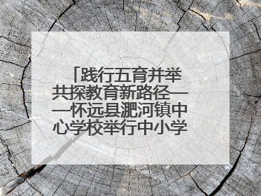 践行五育并举 共探教育新路径——怀远县淝河镇中心学校举行中小学、幼儿园班主任论坛活动