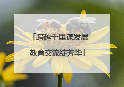 跨越千里谋发展 教育交流绽芳华