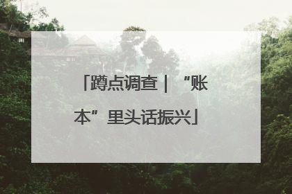 蹲点调查｜“账本”里头话振兴