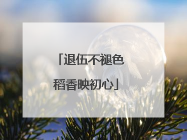 退伍不褪色 稻香映初心
