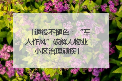 退役不褪色：“军人作风”破解无物业小区治理顽疾
