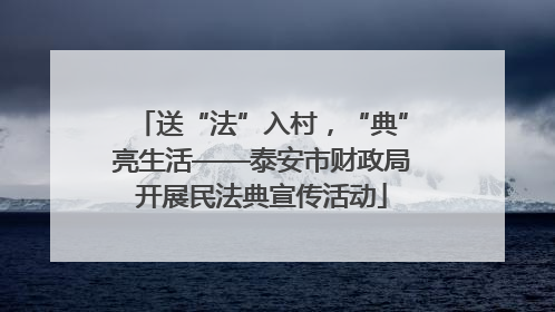 送“法”入村，“典”亮生活——泰安市财政局开展民法典宣传活动