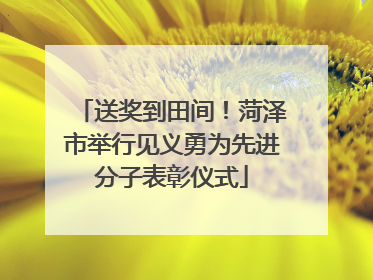 送奖到田间！菏泽市举行见义勇为先进分子表彰仪式
