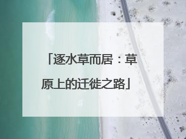 逐水草而居：草原上的迁徙之路