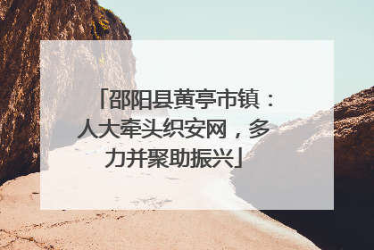 邵阳县黄亭市镇：人大牵头织安网，多力并聚助振兴