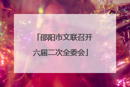 邵阳市文联召开六届二次全委会