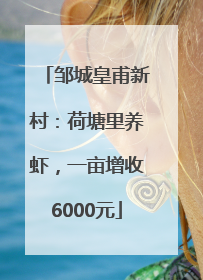邹城皇甫新村：荷塘里养虾，一亩增收6000元