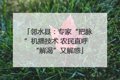 邻水县：专家“把脉”机播技术 农民直呼“解渴”又解惑