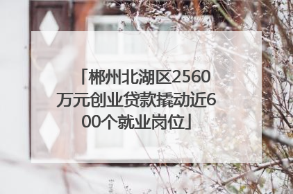 郴州北湖区2560万元创业贷款撬动近600个就业岗位