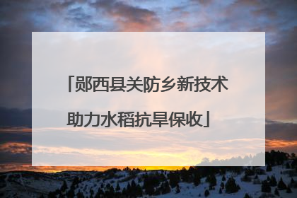 郧西县关防乡新技术助力水稻抗旱保收