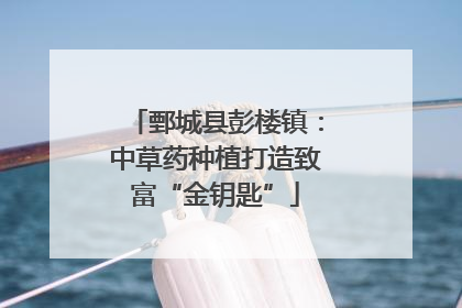 鄄城县彭楼镇：中草药种植打造致富“金钥匙”