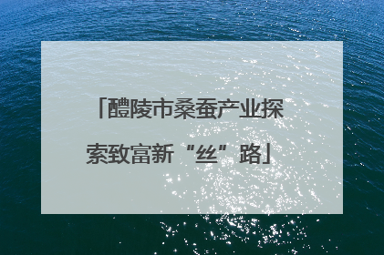 醴陵市桑蚕产业探索致富新“丝”路