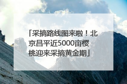 采摘路线图来啦！北京昌平近5000亩樱桃迎来采摘黄金期