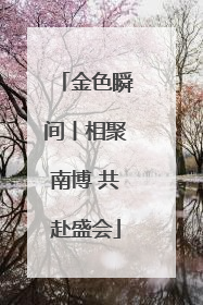 金色瞬间丨相聚南博 共赴盛会