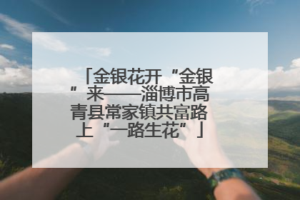 金银花开“金银”来——淄博市高青县常家镇共富路上“一路生花”