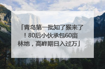 青岛第一批知了猴来了！80后小伙承包60亩林地，高峰期日入过万