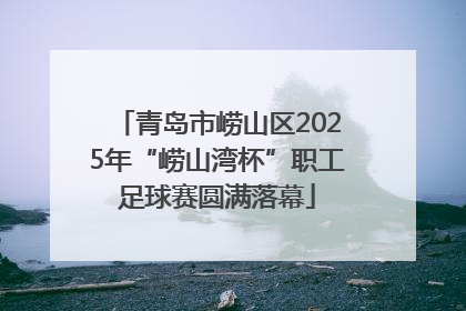 青岛市崂山区2025年“崂山湾杯”职工足球赛圆满落幕