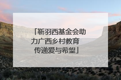 靳羽西基金会助力广西乡村教育 传递爱与希望